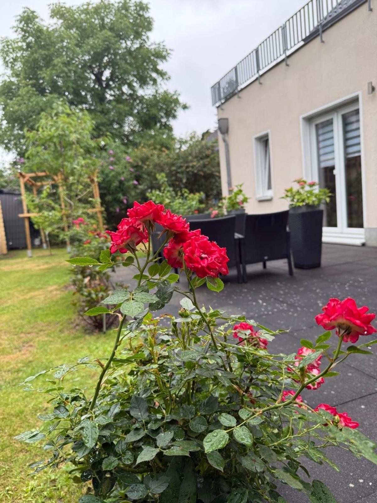 Apartment Gaestewohnung Scharfe Lanke Berlin