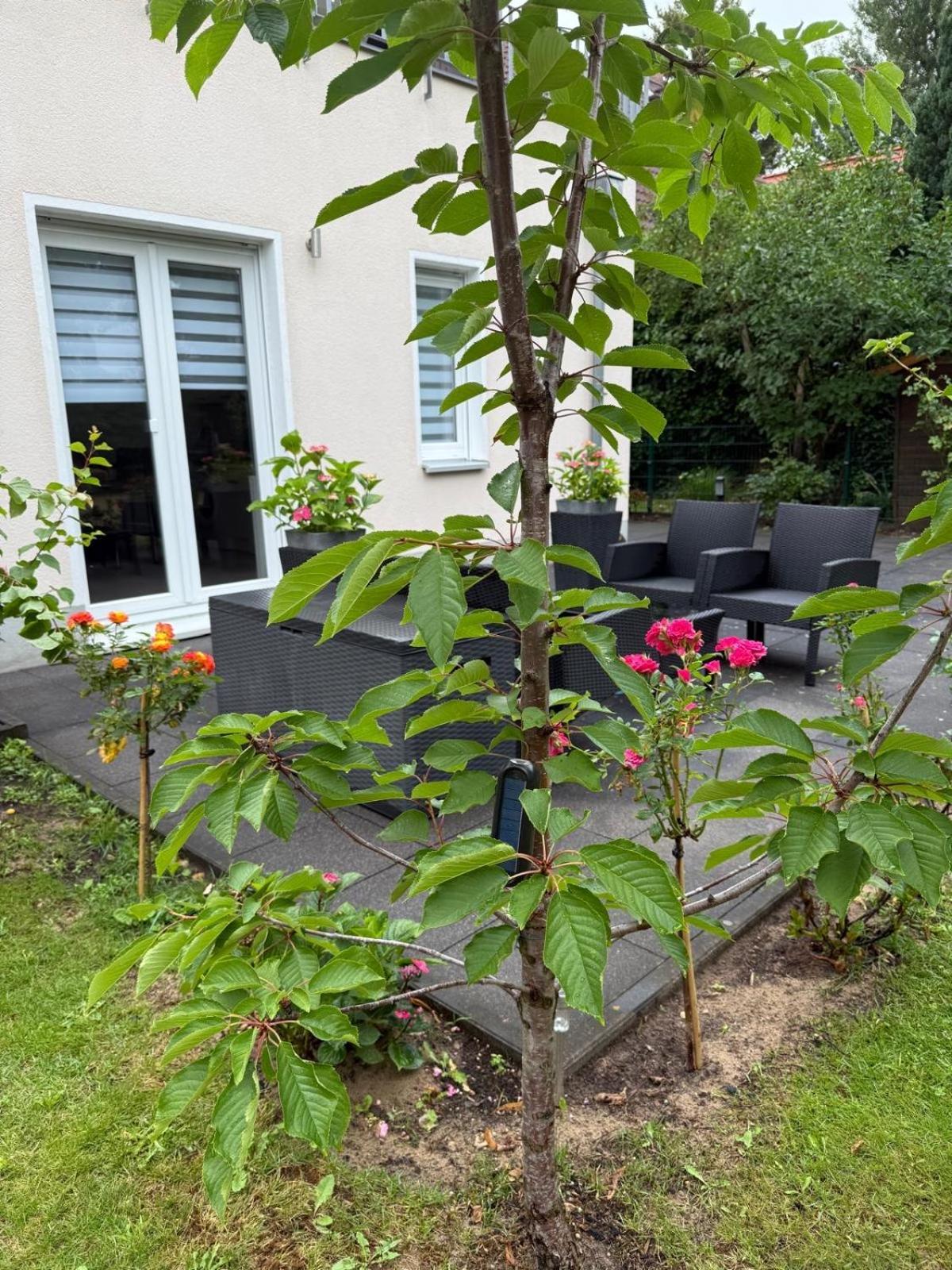 Gaestewohnung Scharfe Lanke *